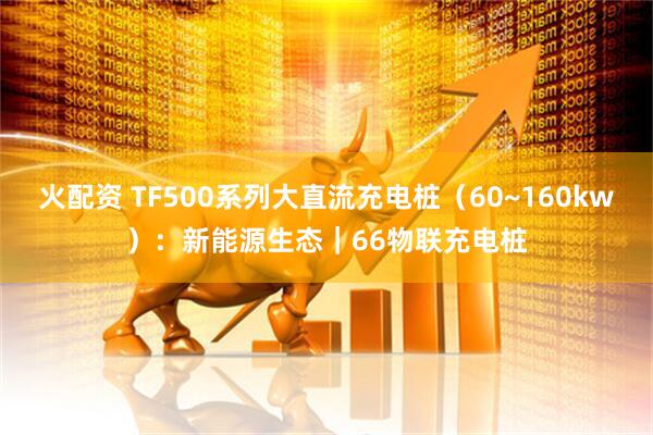 火配资 TF500系列大直流充电桩（60~160kw）：新能源生态｜66物联充电桩